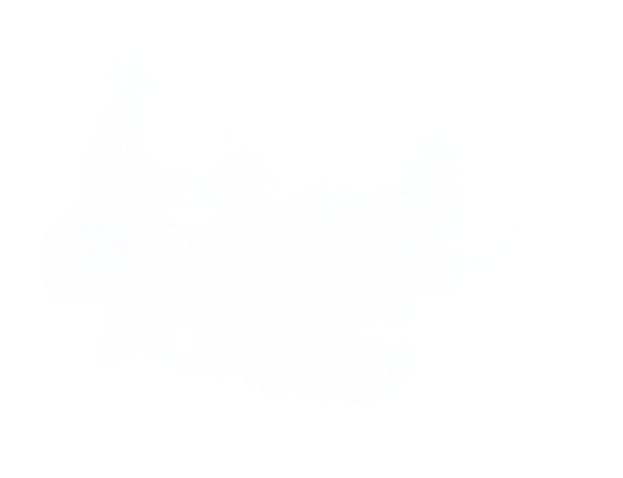 湯気